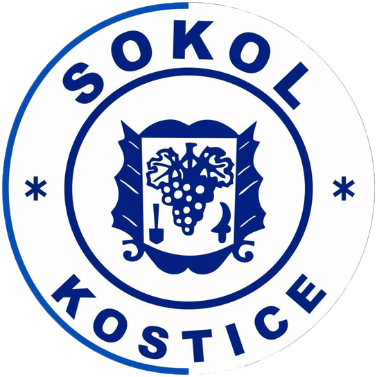 TJ Sokol Kostice